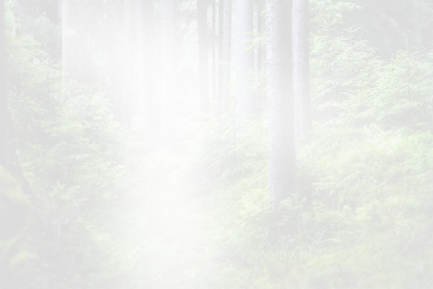 Zhejiang QianDuoMu 지능형 장식 유한 회사